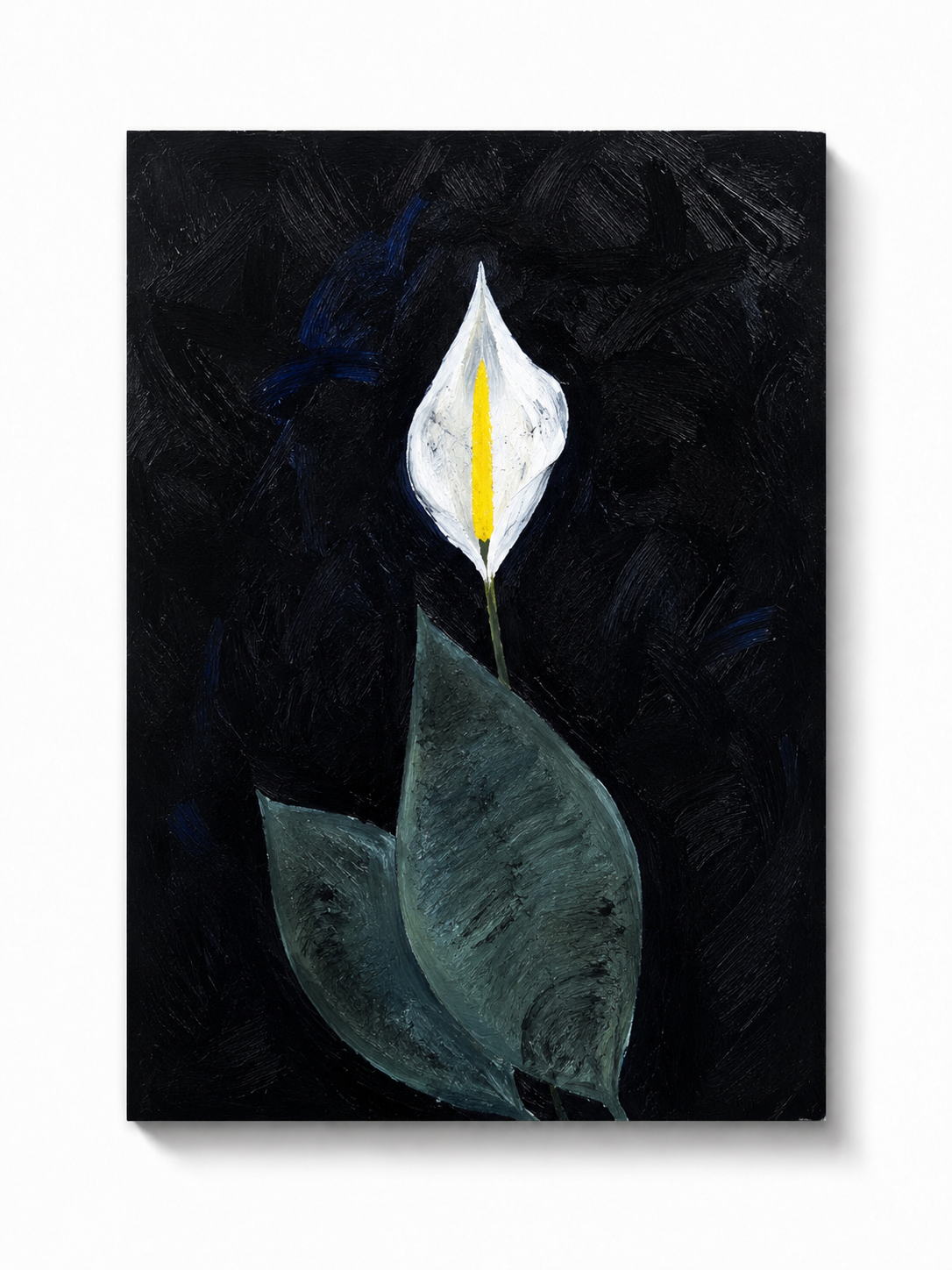 Peace lily painting by Addison B